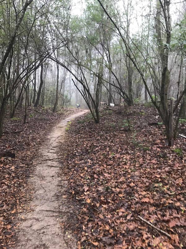 Petal River Park Mtb Trail - Image 1