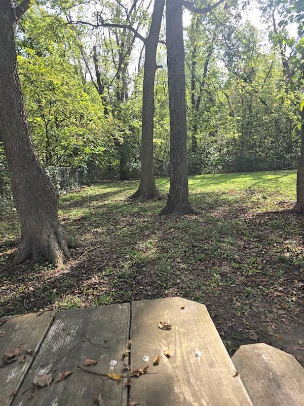 El Dorado Dog Park - Image 1