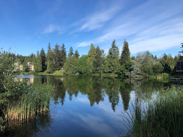 Echo Lake Park - Image 2