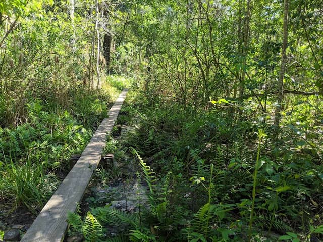Hidden Waters Preserve - Image 2