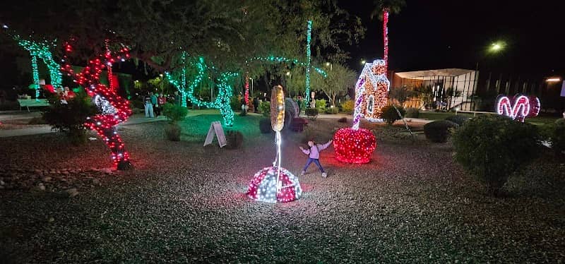 Avondazzle Holiday Light Display - Image 1