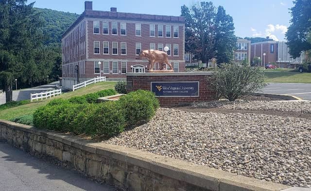 Catamount Statue - Image 1