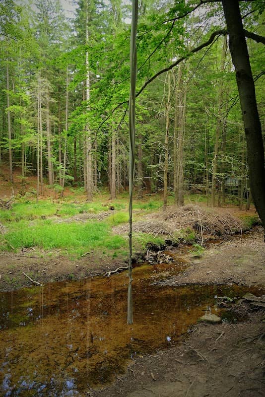 Wodospad- Zapora przeciwrumowiskowa - Image 1