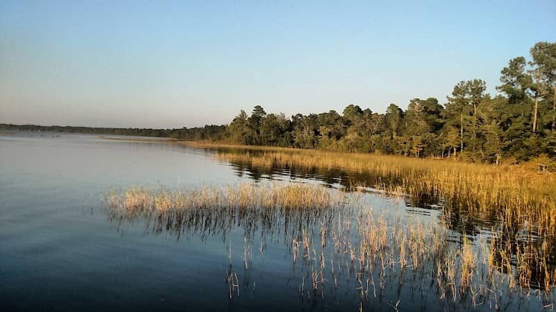 Lake Waccamaw State Park - Image 1