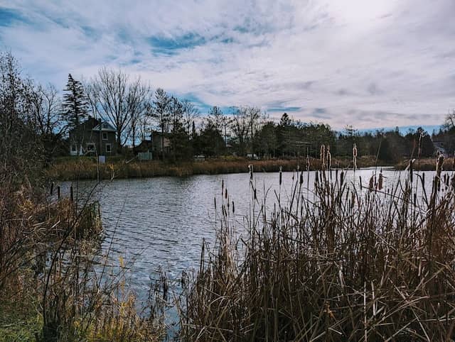 Alton Pond Park - Image 2