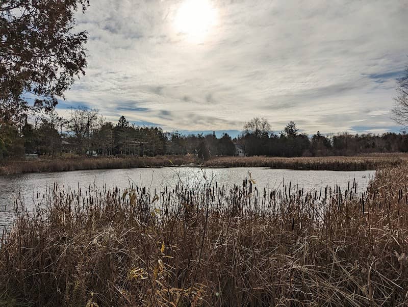 Alton Pond Park - Image 1