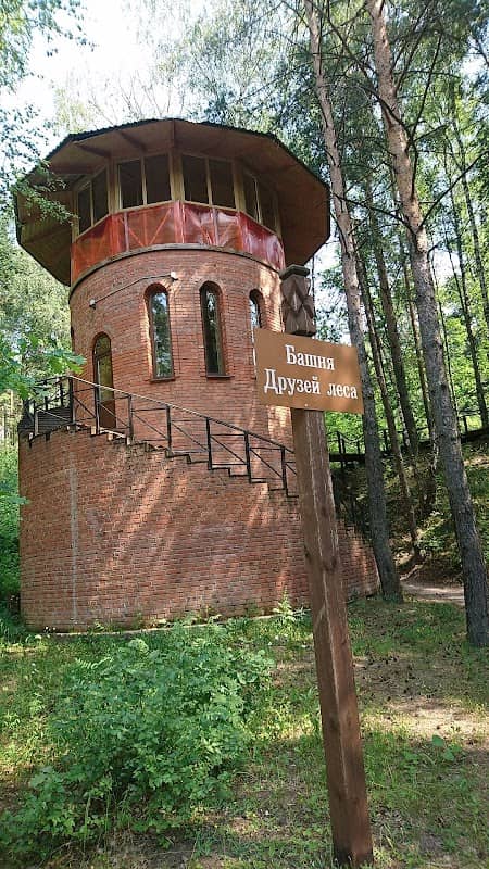 Bashnya Druzey Lesa - Image 1