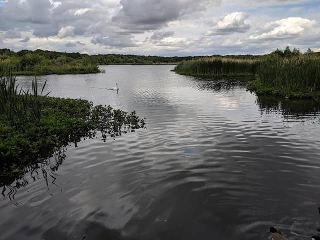 Fleet Pond Nature Reserve - Image 2