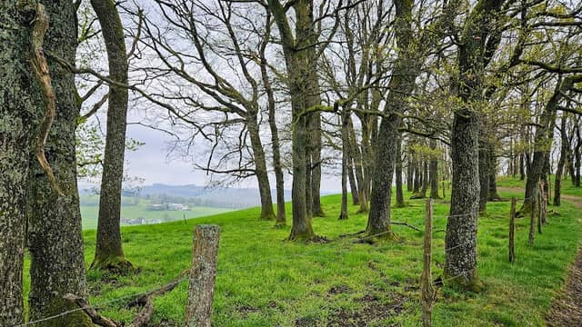 Siegerlandblick - Image 1