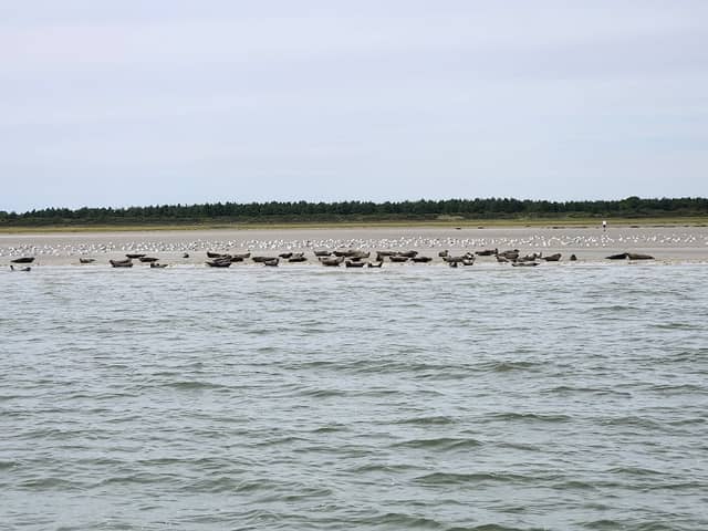 Excursions Baie De Somme - Image 1
