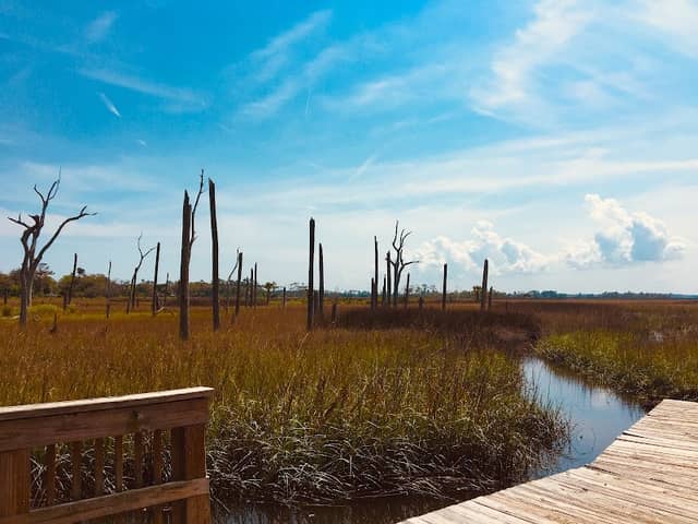 Cradle Creek Preserve - Image 1
