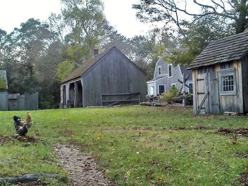 Coggeshall Farm Museum - Image 2