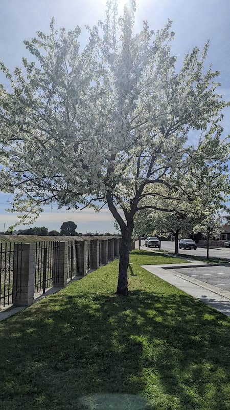 Lee Ware Park - Image 1