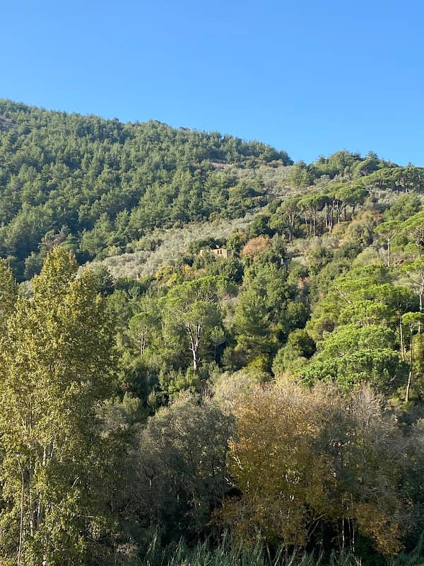 Roum Valley Hiking Trail - Image 2