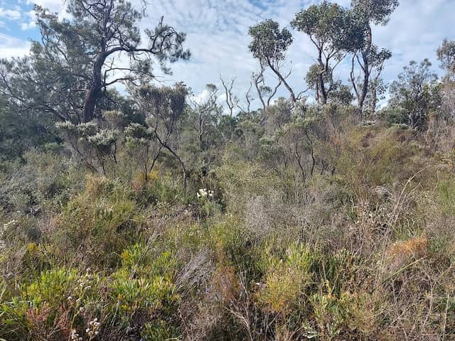 Bakers Junction Nature Reserve - Image 1