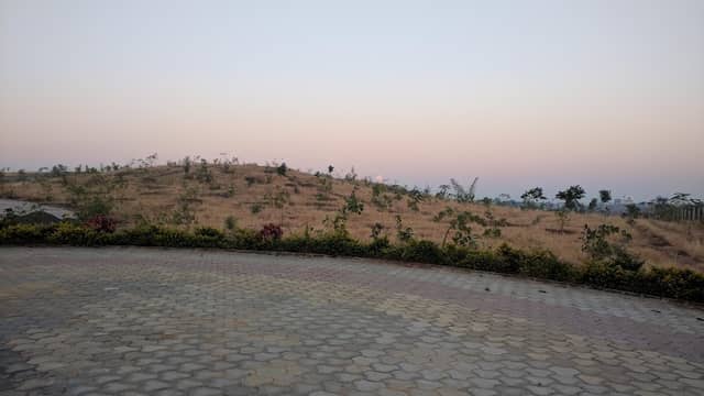 Rabdal Forest - Image 1