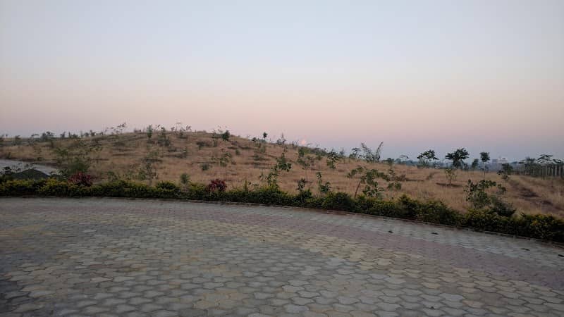 Rabdal Forest - Image 1