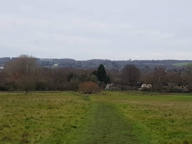 Nutfield Biodiversity Park - Image 2
