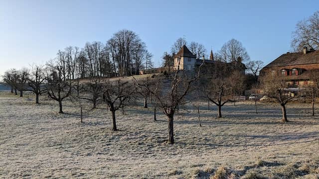 Schloss Muri - Image 2