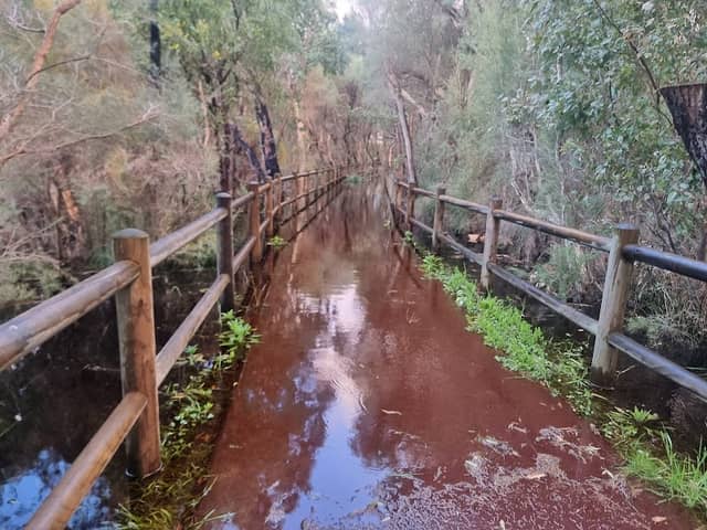 Freshwater Water Reserve - Image 2