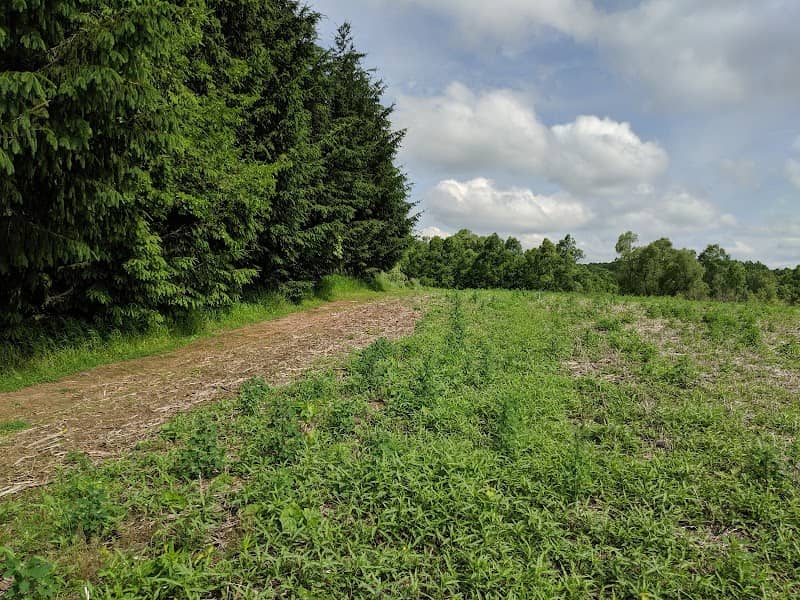 Albecker Natural Area - Image 2