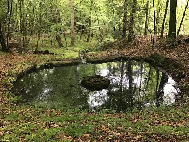 Bodenhoffs Kilde - Image 1