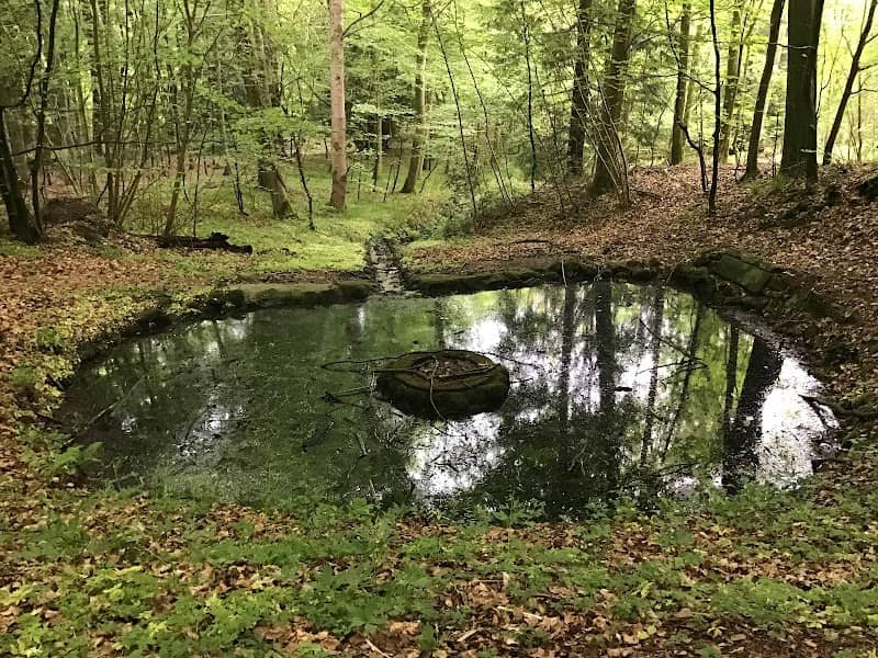 Bodenhoffs Kilde - Image 1