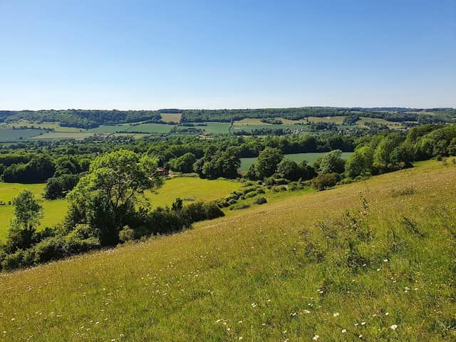 Fackenden Down - Image 2