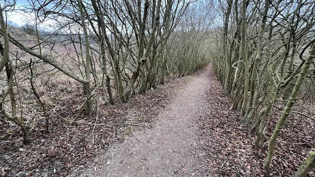 Fackenden Down - Image 1