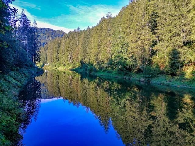 Langmann Stausee - Image 1