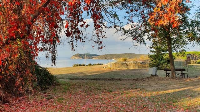 Baratti and Populonia Archaeological Park - Image 1