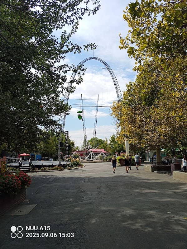 Skycoaster - Image 2