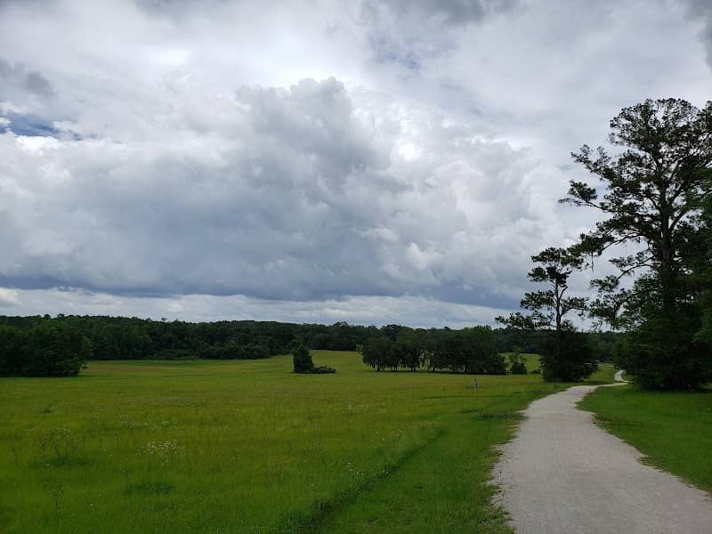 Miccosukee Canopy Road Greenway - Image 2