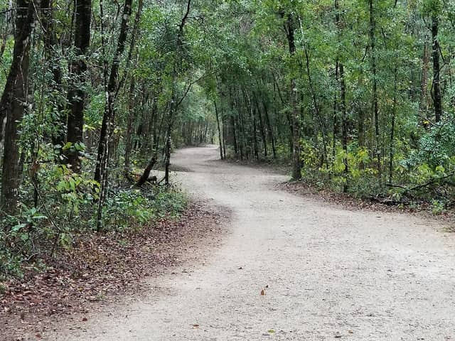 Miccosukee Canopy Road Greenway - Image 1