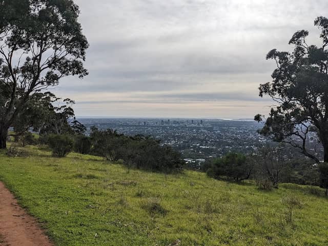 Waite Conservation Reserve - Image 1