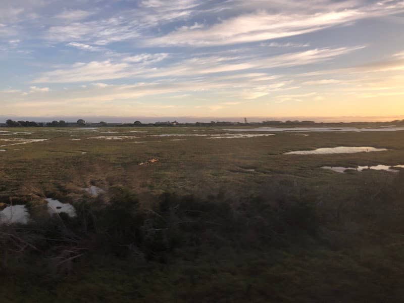 Carpinteria Salt Marsh Reserve - Image 3