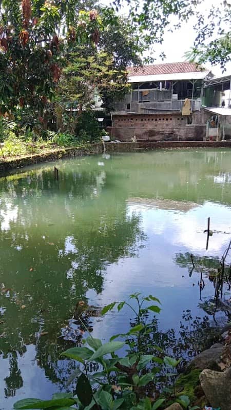 Balong gede kramat - Image 1