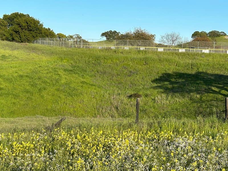 Hidden Oaks - Image 1