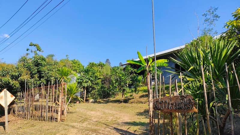 HD Melon Farm - Image 1