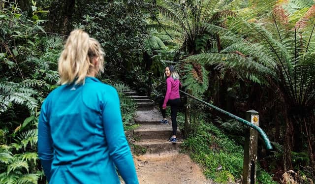 Kokoda Track Memorial Walk - Image 2