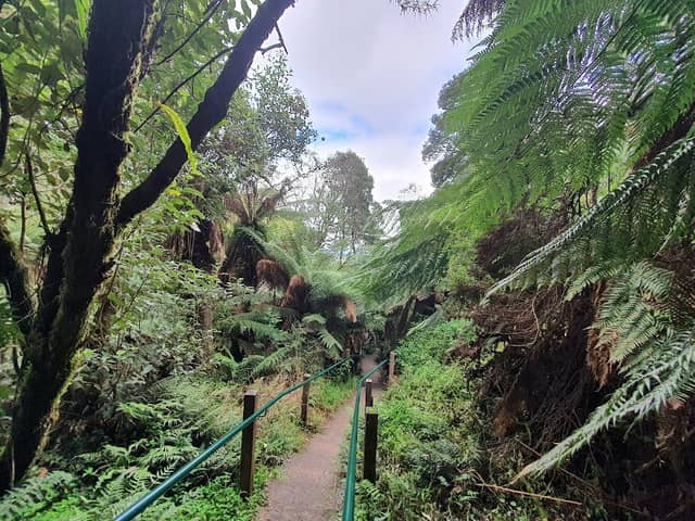 Kokoda Track Memorial Walk - Image 1