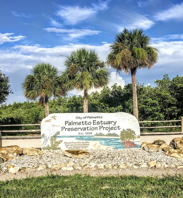 Palmetto Estuary Preservation Project - Image 2