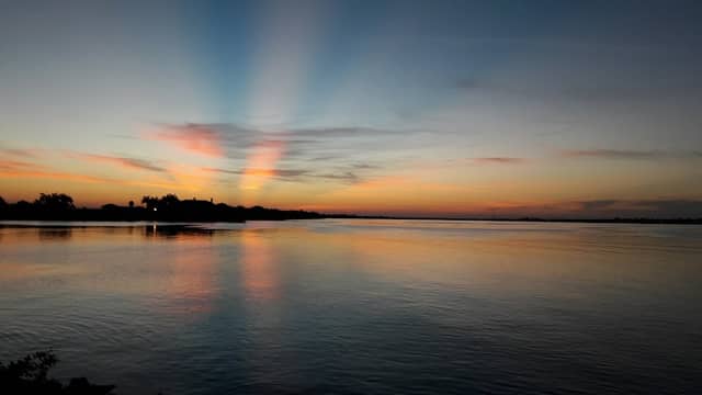 Palmetto Estuary Preservation Project - Image 1