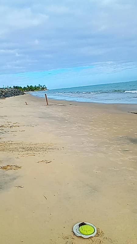 Parada Ponta Grande - Image 1