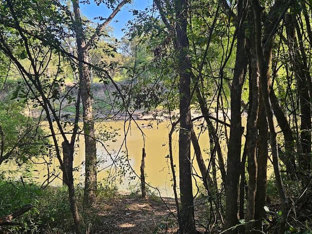 Goat Island Preserve - Image 1