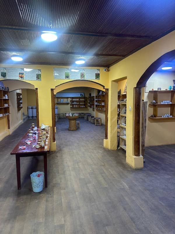 Swala Tours - Image 1