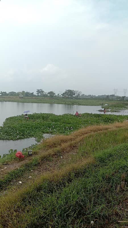 Sengkayap Swamp - Image 1