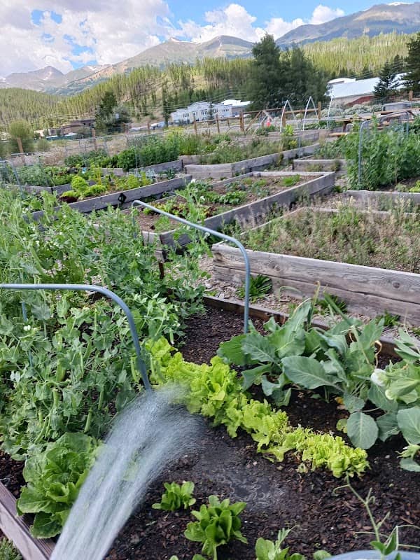 Breckenridge Community Gardens - Image 1
