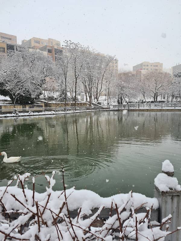 دریاچه بوستان استخر - Image 2