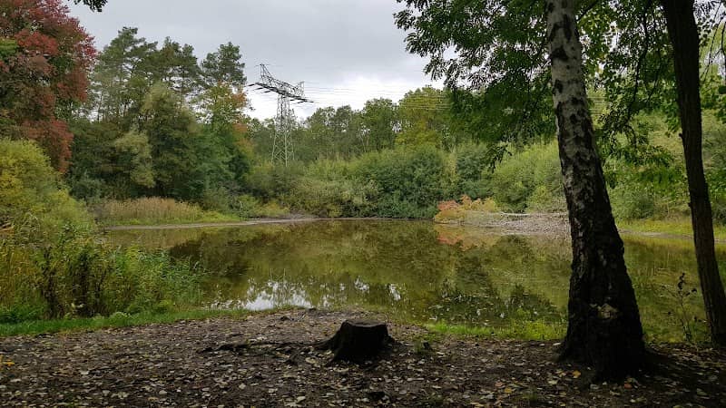 Dark Szene am See - Image 1